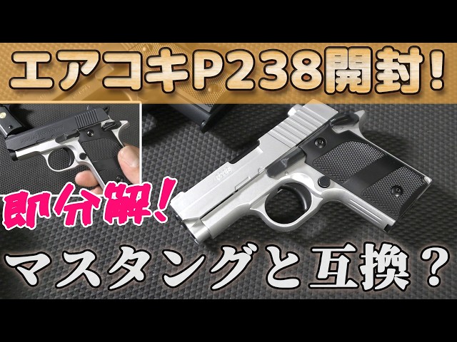Crown [SIG-P238] Unboxing and Disassembly! Is it possible to swap