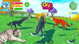 🐺 Wolf Simulator: Wild Animals 3D Family Game / Animal Simulator Game / Android Gameplay screenshot 4