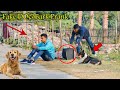 Fake DOG Bark Prank - Epic Reaction in Public | Dog Barking Prank Run | 4 Minute Fun