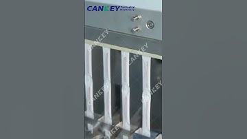 Pharmacy Unit Dose Packaging Systems