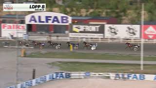 LOPP 8-2026-08-24