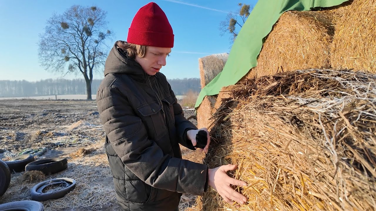 Countryside ASMR in winter (frozen sounds) ❄️☃️