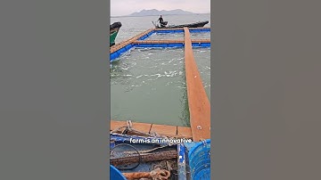 Floating Fish Farming Explained #shorts