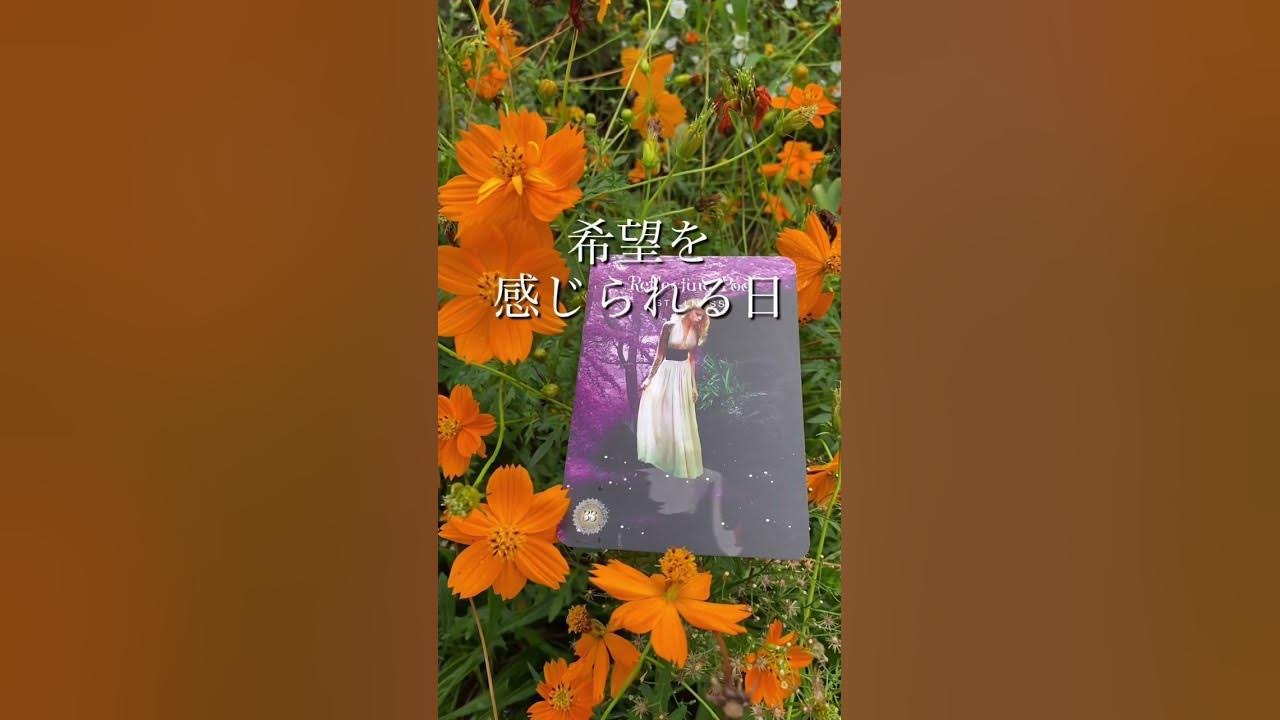  136 105 9 30 noko 