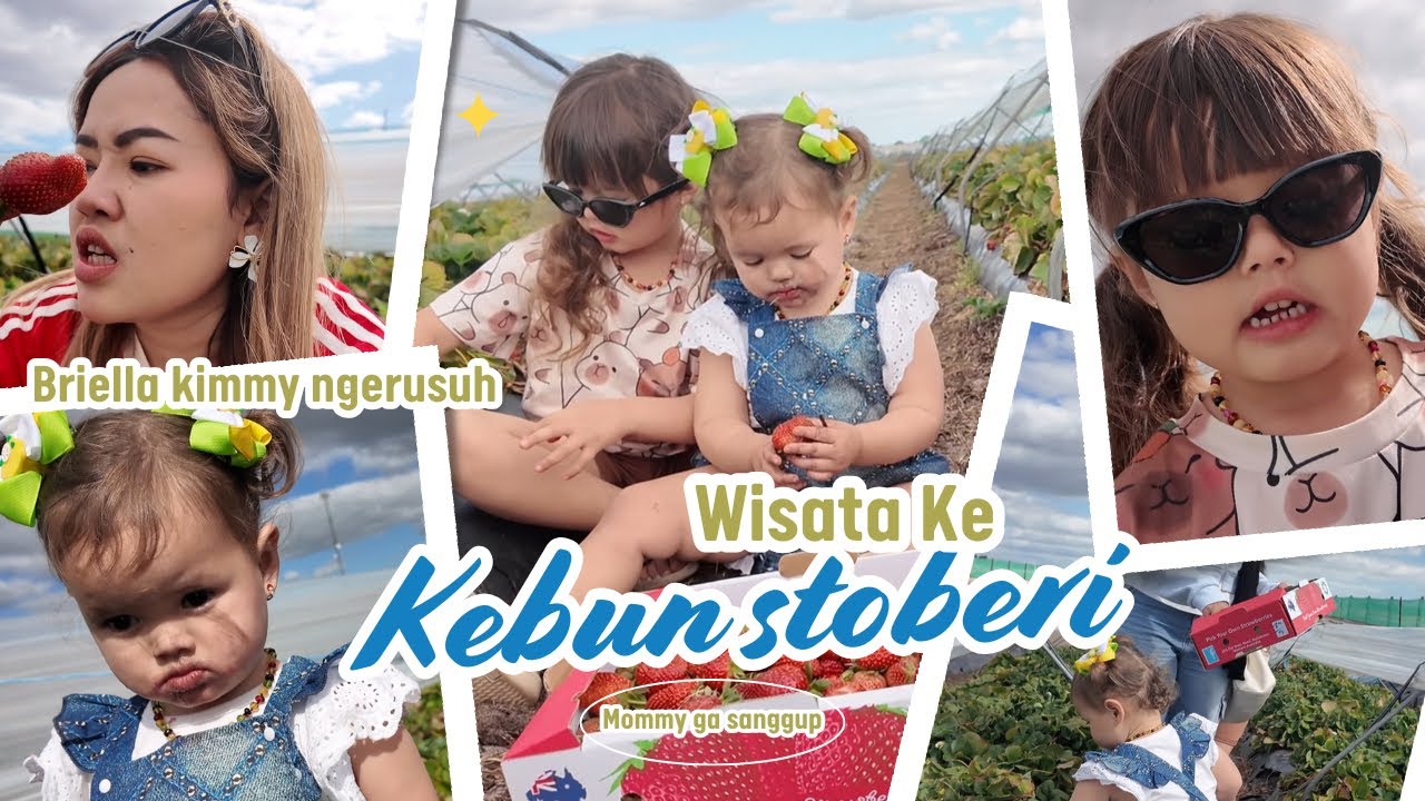 BRIELLA JADI HAMA STOBERI LAGI GUYSS MBOHHH MUMETTTT