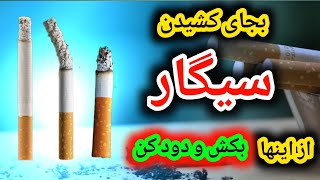 بجای سیگار کشیدن از این گیاهان بکش و دود کن