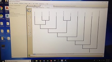 Common problems in Mesquite