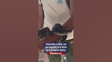 Sorprenden a menor con una serpiente en el Metro de la Ciudad de México