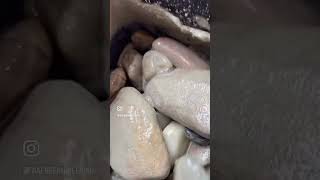 Magic Stone Tumbler #3dprintedmachine #3dprinting #stonetumbler #stone