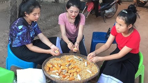 dhas pob kws pub qaib