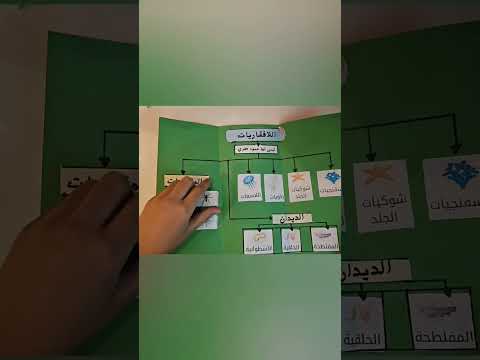 مطوية الحيوانات اللافقارية