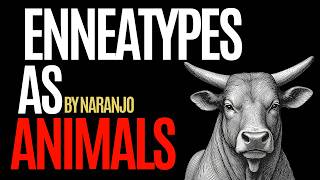 27 Enneagram Subtypes As Animals