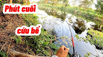 Hành trình tìm hugo xém bể | #câu cá lóc rừng U Minh Thượng #@huukhuynhkiengiang (tập 77)