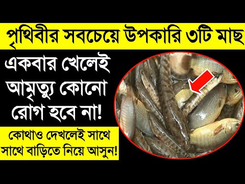 ভিডিও: আপনি খাদ মাছ খাবার খাওয়াতে পারেন?