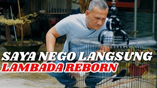 Negosiasi Paling Alot Murai Batu Lambada Reborn | Deal or Not?