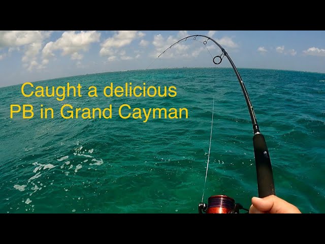 cayman islands rolls royce fishing pole Grand Cayman Fishing and Fun! Caught a PB in very windy conditions! PLUS  Stingray City/Snorkeling