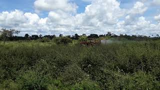 Valmet passando Herbicida na Pastagem