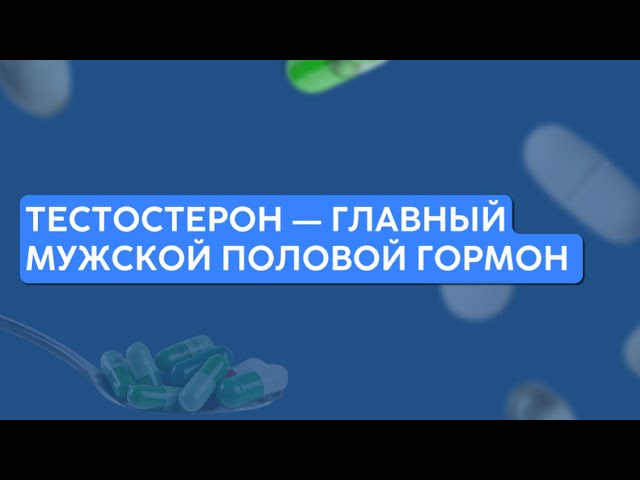 Тестостерон – главный мужской половой гормон.
