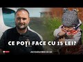 Ce poți face cu 𝟏𝟓 𝐋𝐄𝐈❓ | Proiectul 𝐏𝐔𝐈𝐔𝐋 🐥