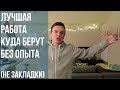 Моя Первая Работа. Как Добиться Успеха?