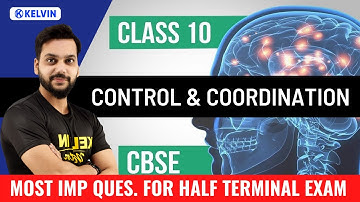 Class 10 Control and Coordination | Target Half Yearly Exam | Most Important Questions | KELVIN