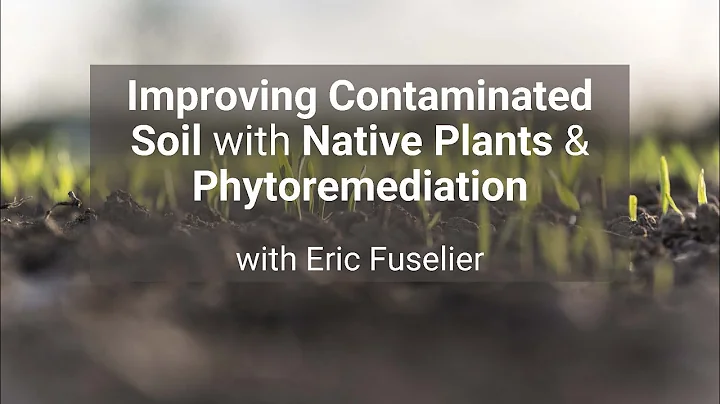 Improving Contaminated Soil with Native Plants & P...