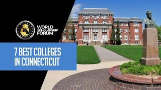 7 Best College in Connecticut