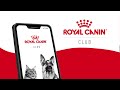 Points on purchase  royal canin club