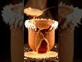 BOILING HOT vs ICE COLD CRUNCH ASMR | Frozen Kulhad Chai ☕❄️😳