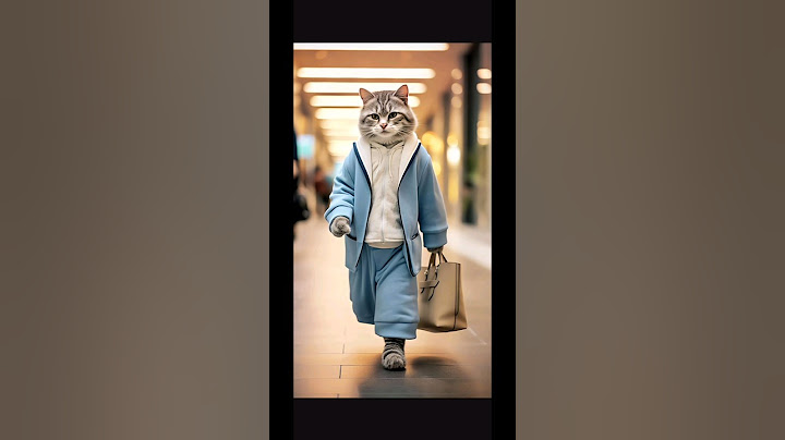 cats going for shopping#shorts #cats#cute#youtubeshorts