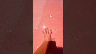 🇧🇸Bahamas Pink Sand Beach - Your New Favourite Beach? 🏖️ #shorts #traveltips #shortvideo