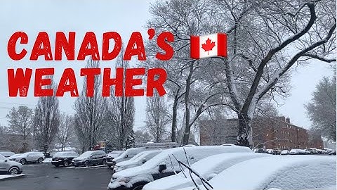 Canada’s Weather Is So Unpredictable - I Thought It Was Spring 😅