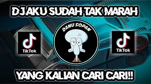 DJ AKU SUDAH TAK MARAH WALAU MASIH TERINGAT - SATU SATU IDGITAF REMIX VIRAL TIKTOK TERBARU 2023