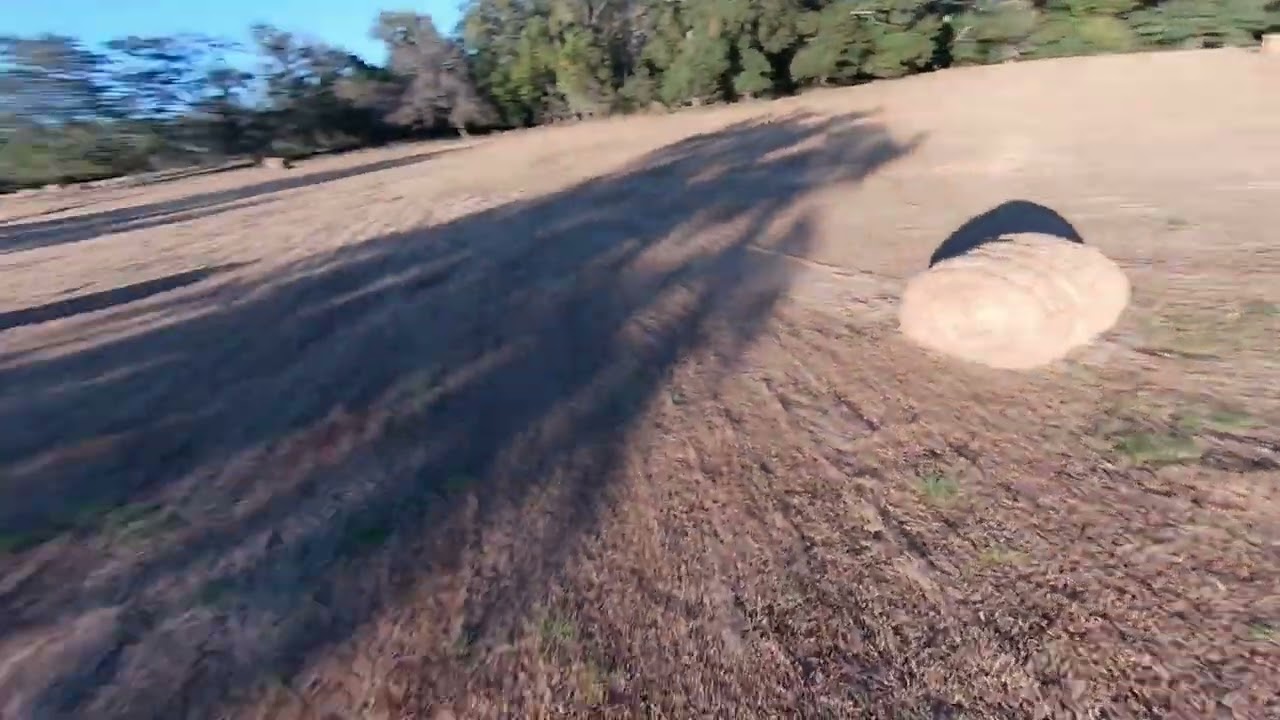 Hay Bales Inspection...Farmer did a great job! fpv fpvfreestyle 