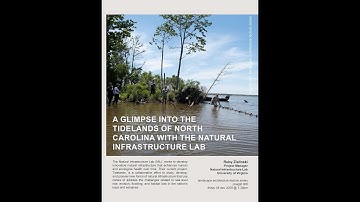 Ruby Zielinksi Lecture @ Virginia Tech  - Natural Infrastructure Lab