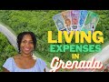 Living expenses in grenada  how much does it cost to live in grenada nezzle talk ep 16