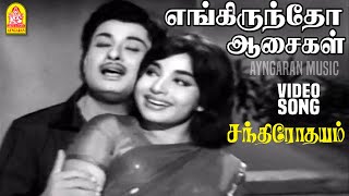 Download Lagu Engiruntho Aasaikal - HD Video Song | எங்கிருந்தோ ஆசைகள் | Chandrodayam | MGR | MS Viswanathan MP3 Download Lagu Engiruntho Aasaikal - HD Video Song | எங்கிருந்தோ ஆசைகள் | Chandrodayam | MGR | MS Viswanathan MP3