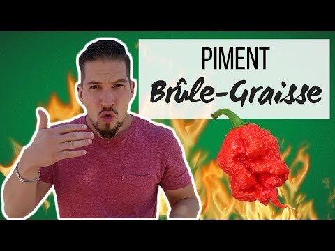 Vidéo: La capsaïcine vous fera-t-elle perdre du poids ?