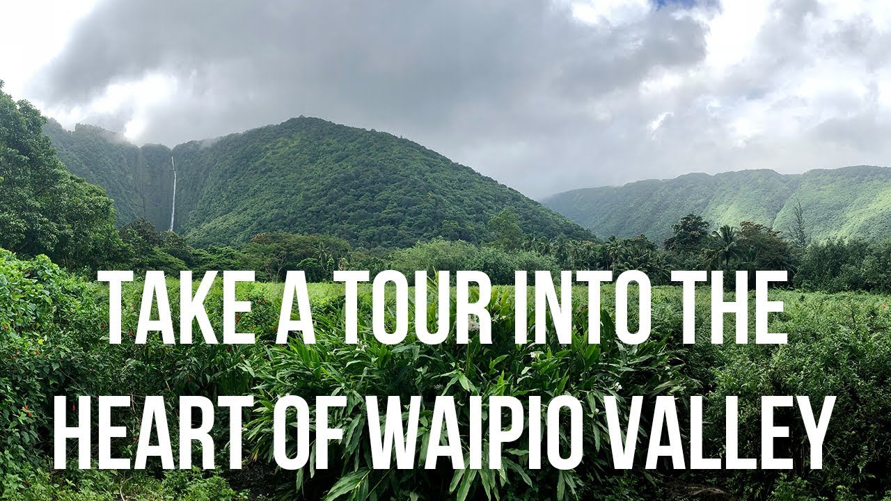 waipio valley shuttle tour