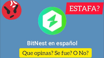 🚨🚨BITNEST se fue? Última hora🚨🚨🚨esto es Lo que está pasando....