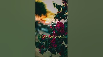 Surah Hujrat ( سورة الحجرات)