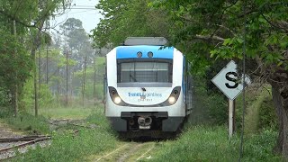 The Train to LOZANO in Argentina is back! First weeks of service + News about Navarro by Andrés Jorge Gebhardt 55,463 views 6 months ago 19 minutes