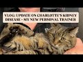 AMWC - Charlotte's Kidney Disease Update + Working With a New Personal Trainer