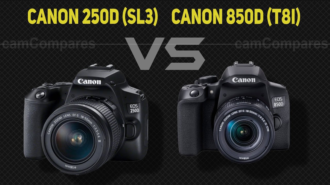 Canon 250D (SL3) vs Canon 850D (T8i) [Camera Battle] YouTube
