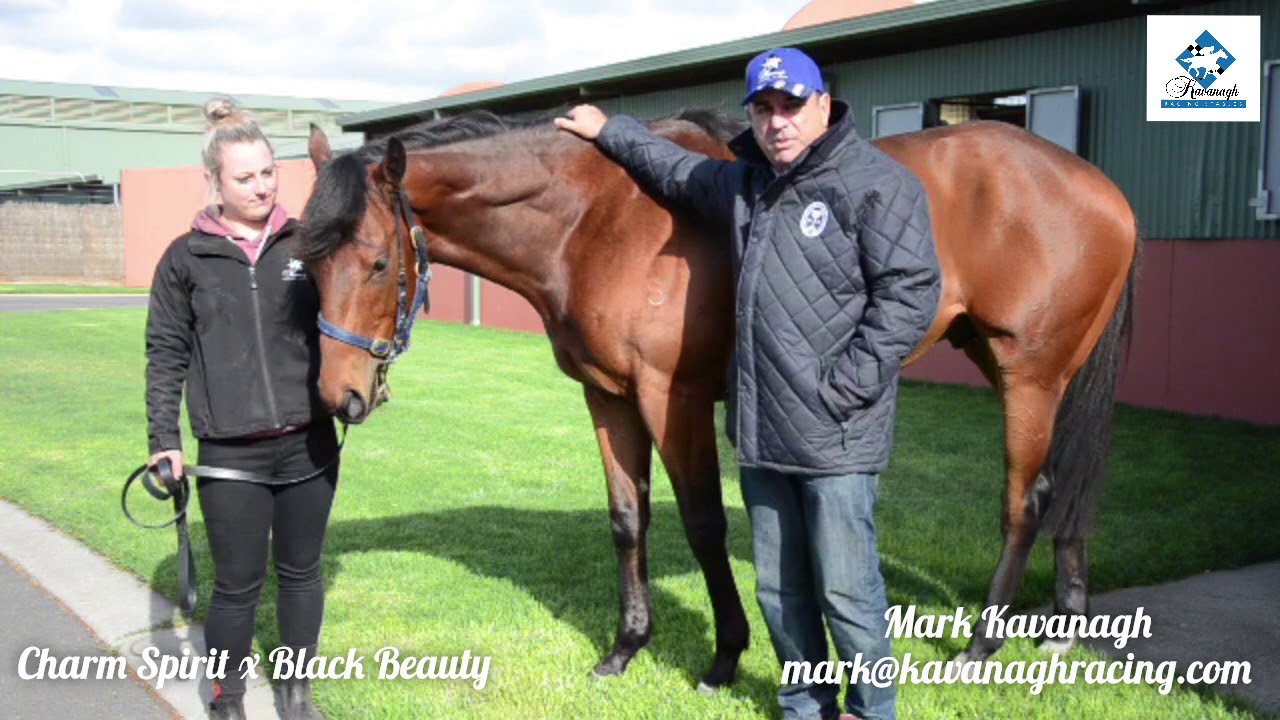 Tim Kavanagh Racing Kavanagh Racing Weekly Update - YouTube