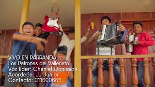 Video thumbnail of "Vivo en Parranda (video oficial) - Los Patrones del Vallenato"