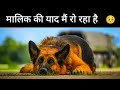         explanation in hindi  abhi tez