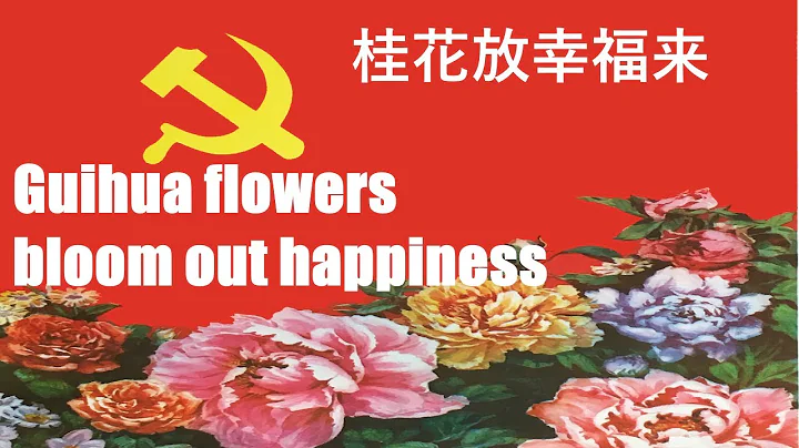 -Guihua flowers bloom out happiness