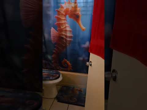 12 Quail St, Albany, NY home video tour