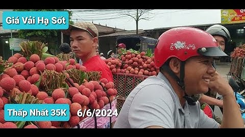 GIÁ VẢI LỤC NGẠN HẠ SỐT MÀ VẪN CAO CHÓT VÓT  I NÚI ĐỒI LỤC NGẠN